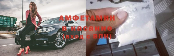 твердый Алексин