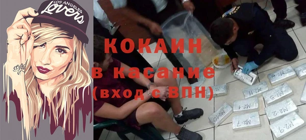 твердый Алексин