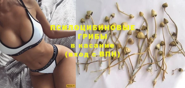 твердый Алексин