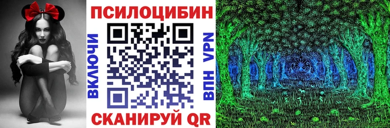 закладки  Лаишево  Псилоцибиновые грибы прущие грибы 